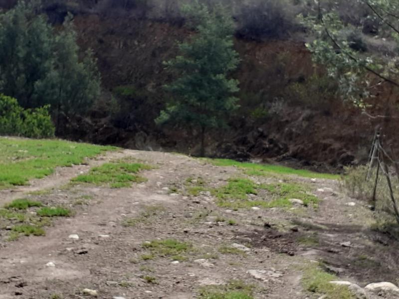 0 Bedroom Property for Sale in Albertinia Western Cape